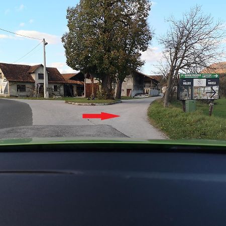Guesthouse Braslovce - Celje 외부 사진